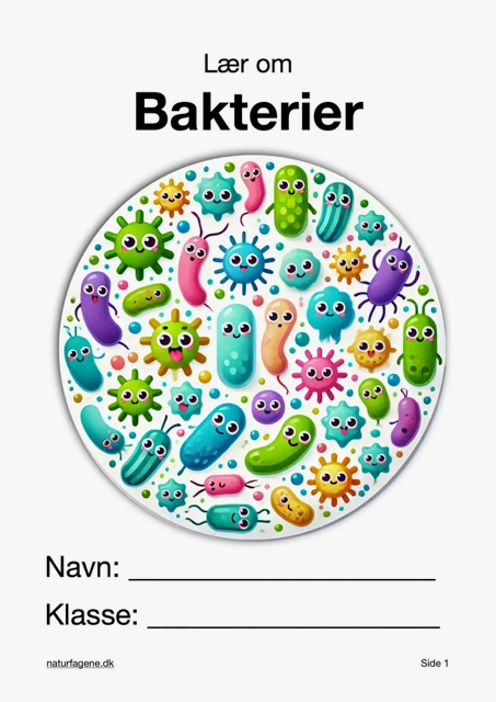 Bakterier thumbnail