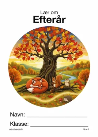 Illustration til undervisningsforløbet om Efterår