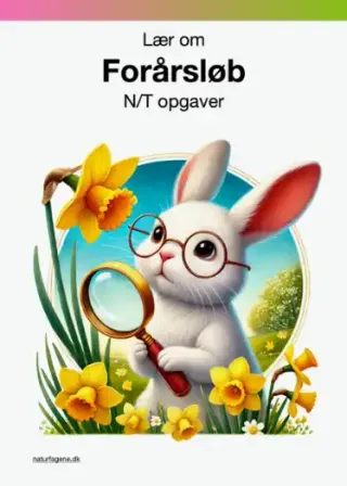 Illustration til undervisningsforløbet om Forårsløb