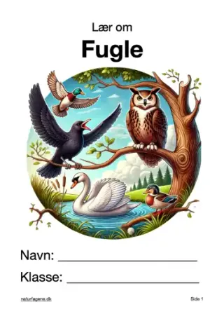 Illustration til undervisningsforløbet om Fugle
