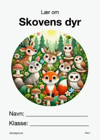 Illustration til undervisningsforløbet om Skovens dyr