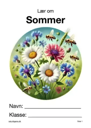 Illustration til undervisningsforløbet om Sommer