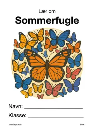 Illustration til undervisningsforløbet om Sommerfugle