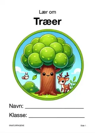 Illustration til undervisningsforløbet om Træer