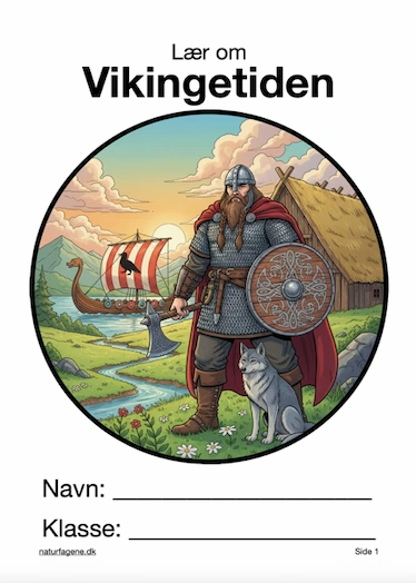 Illustration til undervisningsforløbet om Vikingetiden