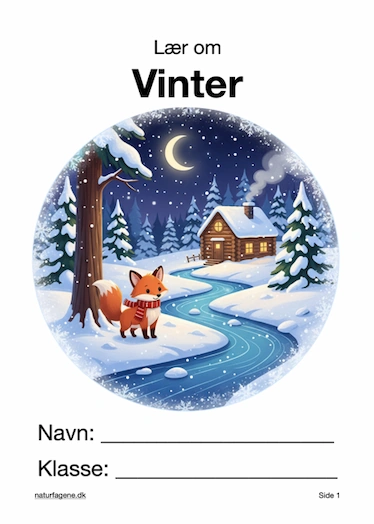 Illustration til undervisningsforløbet om Vinter