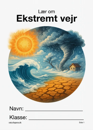 Ekstremt vejr thumbnail