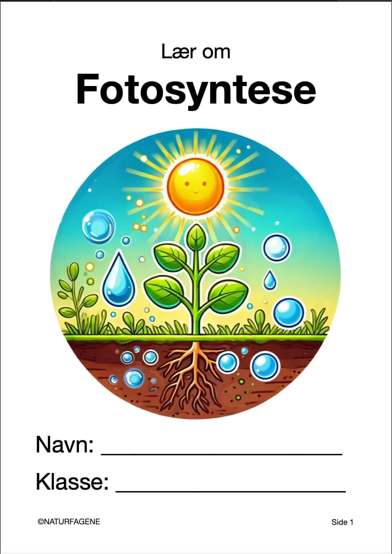 Fotosyntese thumbnail