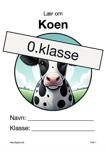 Koen thumbnail