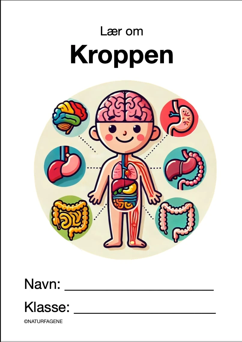 Kroppen thumbnail