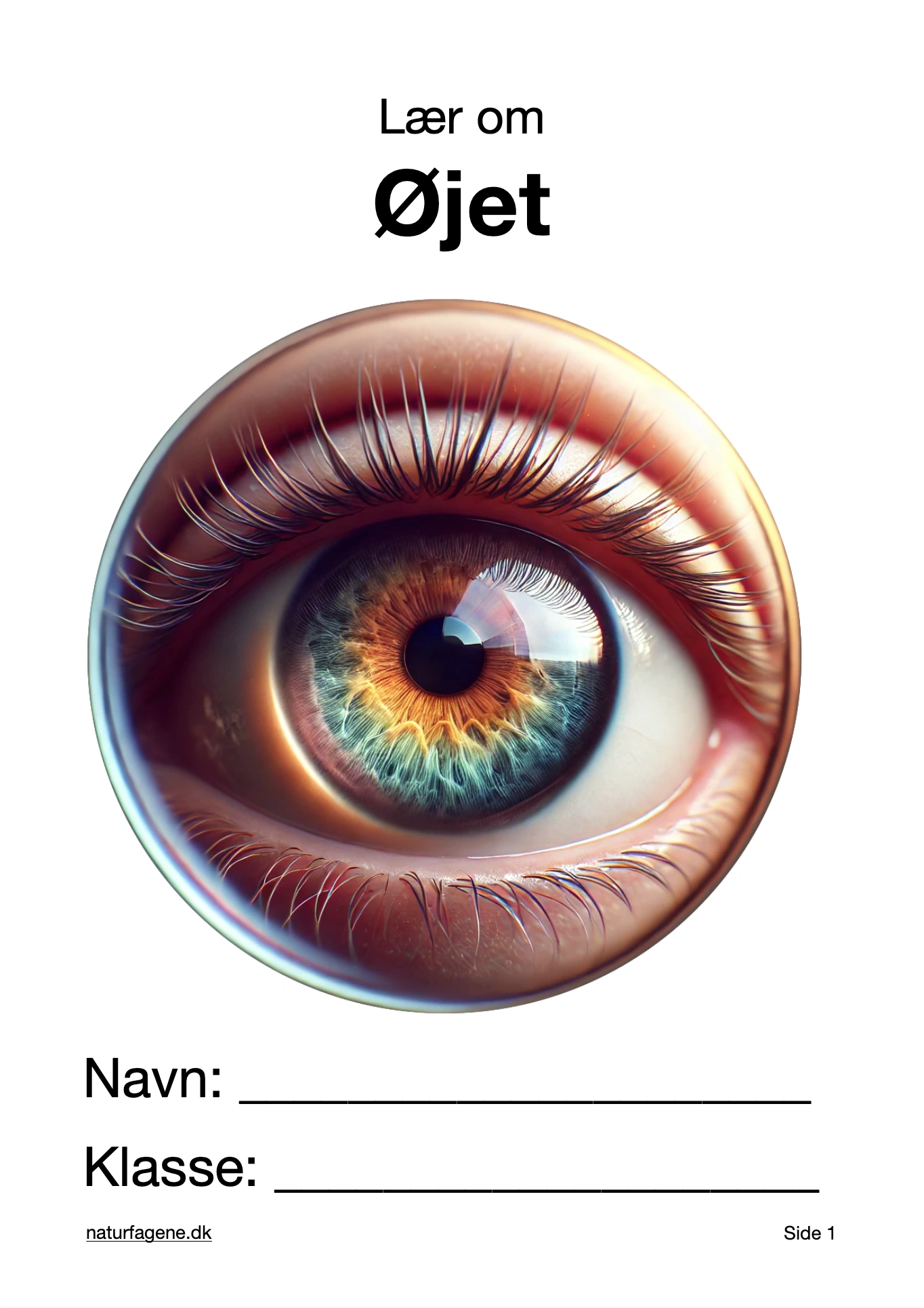Øjet thumbnail